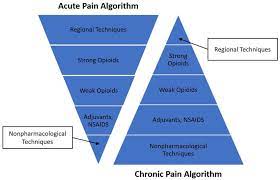 Multidisciplinary pain management: acute and chronic pain algorithms.... |  Download Scientific Diagram